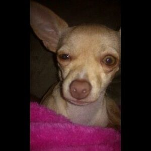 Meet your Posher, Nathan